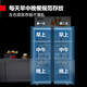 Demashi Food Sample Cabinet School and Kindergarten Company échantillon d'échantillon de cantine des fruits et légumes Réfrigérateur Réfrigérateur Fresh Refrigérateur L'armoire peut être envoyée au Xinjiang [Style du plateau] Échantillon de froid direct à double porte avec écran numérique frais avec verrouillage de porte LG-688A