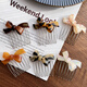 Saradear Korean FRANCE gold label inverted comb hair side hair comb French chocolate bow broken hair comb hairpin chocolate brown