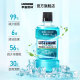 Listerine Mouthwash Ice Blue 500ml Fresh Breath Oral Cleansing Gentle Reduction of Bacteria Deep Cleaning Multi-Bottle Stocking Ice Blue 500ml*5 [Juhui Stocking Pack]
