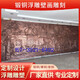 Customized forged copper relief fiberglass imitation copper cast copper campus red background wall sculpture decorative wall mural pendant style four