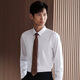 Ankündigung Vogel formelles langärmeliges Hemd Herrenherbst [leicht zu entfernen Flecken] Männer mit langärmeligem weißen Revers Shirt Casual Shirt White 41 (175/96)