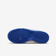 Nike Dunk Low White and Blue Wear-resistant Breathable Low Top Sports and Casual Shoes DH9765-105 37.5