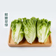 
[Plateau Summer Vegetable] Zhonglingshan Roman Lettuce 400g