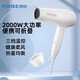 FLYCO's Borui hair dryer household high-power hair dryer travel portable hair dryer hot and cold air barber shop hair salon foldable PH1626