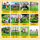 Elegant ground decoration lawn simulation artificial plastic fake turf artificial carpet balcony outdoor kindergarten green bedding 2.0 cm spring grass encrypted grass