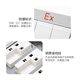 SD ZM explosion-proof switch explosion-proof wall switch ExdeIICT6Gb explosion-proof lighting 220V10A two switches