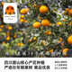 
Uncle Sam Sichuan Ehime No. 38 Jelly Orange Seasonal Fruit Citrus Rock Sugar Orange Orange Ugly Orange Gift Box New Year's Gift [Sweet-Tribute Fruit] 20-Year-Old Tree | Single Fruit 75-80mm 5Jin [Jin equals 0.5kg] Gift Box [Gift Recommendation] Net 4.5Jin [Jin equals 0.5kg]