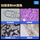 奥斯微（AOSVI）高清实验生物显微镜高倍观察细胞细菌精子螨虫4K专业生物显微镜 L608-AF830（自动对焦/4K拍录含4K屏）