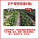 Jinzhengda amino acid-containing water-soluble fertilizer foliar fertilizer flush fertilizer garden fruit tree general fertilizer yellow leaf vegetable fertilizer amino acid liquid fertilizer 5L*1 seaweed fertilizer 1kg*1