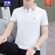罗蒙（ROMON）2025夏季新款珠地棉时尚冰丝潮牌翻领POLO.衫男士短袖t恤上衣 723#白色 M (建议90-110斤)