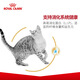 Jiajiayun Royal Cat Food Bengal Leopard Cat Adult Cat Food BA272KG Cat Staple Food Wholesale Randomly Delivered