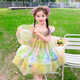 Girls Skirt Summer 2025 New Style Children's Dress Sleeveless Summer Princess Dress for Little Girls Super Beautiful Picture Color 120 cm