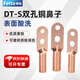 Fetta DT-S double-hole copper nose wire nose cold-pressed electrical wiring terminal copper wire lug cable oil plug connector DT-S-185