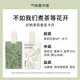 氣味圖書館（SCENT LIBRARY）车载香水卡片车载香薰汽车摆件衣柜香薰3片装 绿茶+普洱+白茶