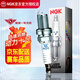 NGK Spark Plug Imported Iridium Platinum/Double Platinum Special Car Special Pack of Four Suitable for New Magotan Passat Lingdu Tanyue Tiguan L Tuyue 2.0T 94833