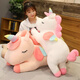 Tränen in den Augen Einhornpuppe Pony Puppe Schlaf mit Kissen Plüsch Spielzeug Mädchen Ragpuppe Geburtstagsgeschenke Mädchen Freundin Mädchen Pink 60 cm [klein]