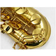JINYIN TENOR SAXOPHONE BANDE DE DROIT BANDE DE DIRECTION BÉRIELLE BÉRICALISTIQUE PERFORMANCE JYTS E100