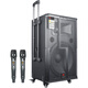 European and American sound mobile audio outdoor karaoke professional outdoor band large stage performance equipment square dance high-power Bluetooth singing trolley speaker 158M 15-inch super bass 500W 2* wireless U-segment metal microphone + spree