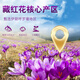 Prasillas tibetanas Kangyuan Ksafron seleccionó regalos de calidad para padres, colegas y maestros Tibetan Tonic Tea Beverage Beverage Regalo Regalo TE Filamento ASfron de 25G PACK