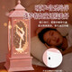 Wanhuo 10-year-old girl birthday gift little girl toy girl children gift 7-14 years old music box music box 7-12
