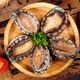 Fingertip fresh, freshly cooked and frozen large abalone, three-step treatment-free, fresh and frozen shellfish, eviscerated, New Year gift, 2 bags, freshly caught, cooked and frozen large abalone, 10 heads, net weight 500g*2