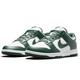 Nike Nike Herren Casual Shoes Dunk Polishing bequeme Retro-Sneaker DD1391-101 Weiß 43