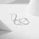Chao Acer Zhijian PT950 platinum platinum earrings for women platinum earrings letter T gift priced at 200 yuan one pair 1.85g