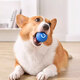 Zigman Dog Toy Bite-Resistant Ball Automatic Dog-Amusing Artifact Self-Happiness Relief Pet Electric Puppy Intelligent Elastic Dog Walking Ball