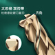 60 degree tungsten steel round nose milling cutter R angle carbide extended 75L100L steel bull nose cutter 10R0.2 R0.5 R1 6R0.5*15*6*50*4F*60S