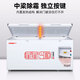 Xingxing (Xingx) Freezer 518 congélateur commercial Réfrigération de réfrigération de grande capacité Réfrigération horizontale à température à température à température fraîche Freinteur de gardien de fraîche