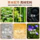 Tongrentang Old Beijing Foot Patch Healthy Mugwort Mugwort Sole Foot Moisture Slim Belly Care Sleep Patch