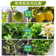 Stanley Compound Fertilizer Special Organic Fertilizer for Vegetables and Fruit Trees Seedlings Lawn Flowers Nitrogen, Phosphorus and Potassium Household Cauliflower Fertilizer Stanley Compound Fertilizer 18-18-18 Original 100 Jin Jin equals 0.5 kg