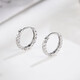 Liuguifu Jewelry PT950 Platinum Earrings Light and Shadow White Gold Stud Earrings for Women PT0200017 1.15g