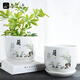 Jiuqiangu Ceramic Flower Pot Орхидея Большой размер 1 упаковка дома зеленые растения зеленые плющ fortune Tree Flower Pot Creative простой китайский стиль 3895