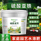 Intelligent green ferrous sulfate flower fertilizer acid-loving plant gardenia camellia azalea azalea osmanthus water-soluble fertilizer anti-yellow leaf household fertilizer ferrous sulfate barrel 5Jin Jin equals 0.5 kg