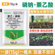 Happy Roots Sheng Complex Sodium Nitrophenolate Naphthalene Acetic Acid Rooting and Seedling Strengthening Agent Plant General Rooting Agent Rooting Water Field Fruit Tree Rooting Liquid Naphthalene Acetate Sodium Nitrate 10g*10 Bags