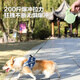 Dipur Dog Leash Automatic Retractable Dog Rope Dog Chain Medium Small Dog Walking Puppy Pet Supplies* Dark Green