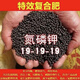 Stanley Sanan 19-19-19 fertilizer oil-flowing universal compound fertilizer flower fertilizer melons, fruits, vegetables and aquatic products original Sanan 19-19-19 original 100Jin Jin equal to 0.5kg delivery genuine guarantee