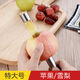 LZJV German Household Multifunctional Red Date Core Remover Stainless Steel Hawthorn Apple Seed Removal Tool Fruit Core Removal One Piece Apple/Pear Removal 2.0cm