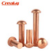 Creaby red copper semi-circle head solid rivet round cap solid rivet percussion type willow copper nail fastener collection red copper M2*6 500 pieces