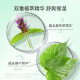 Bee Flower Herbal Essence Shampoo Smooth, Oil Refreshing and Scalp Shampoo for Men and Women 500ml