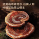 Made in Jingdong, 50 Stücke Ganoderma lucidum sporepulverkapseln, Ganoderma lucidum verbessert die Immunität und gibt Eltern und Ältesten Vatertagsgeschenk