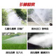 KAILEPU hand push rechargeable sprayer sprayer agricultural disinfection electric machine high pressure sprayer pesticide new fruit tree Honda power 300 liter gasoline 30m 20m 2 spray gun