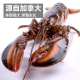 海泽鲜 帝王蟹礼盒生鲜大礼包 波士顿龙虾高档海鲜礼盒 重约8-9斤（帝王蟹礼盒1098款）