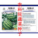 Sweet 4K Watermelon Seeds Spring and Autumn Sowing Station Divine Watermelon Seeds Thin Skin Dry Juice High Sweetness Low Temperature and Low Light Resistance 600 capsules/bag