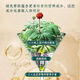 Yunnan Wenshan Extrait de plante entière fraîche panax notoginseng Essence Liquide oral Jinqidan Pharmaceutique traditionnelle chinoise Médecine Wang Xiaoshuo Recommandé 1 boîte 12 pièces [Pack d'expérience]