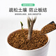 Greenpan red jade soil bonsai special planting matrix climbing pet weathered particles hard mat material 2.5kg3-6mm large packaging