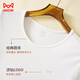 Catman 60S Modal Autumn Clothes Men's Tops Thermal Underwear Men's Thin Seamless Heating Silk Slim Bottoming White XL