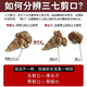 
Chen Dingqi Panax notoginseng Yunnan Wenshan Chun Panax notoginseng Chinese herbal medicine 20 heads 10 heads without cuts Tian Qi Sanqi head [Selected 16 heads 16-500g new products for the season]