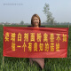 面粉无添加新国标1355-2021 家用中筋小麦自磨农家包子饺子馒头 新国标面粉5斤装